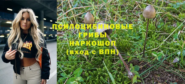 таблы Алексин