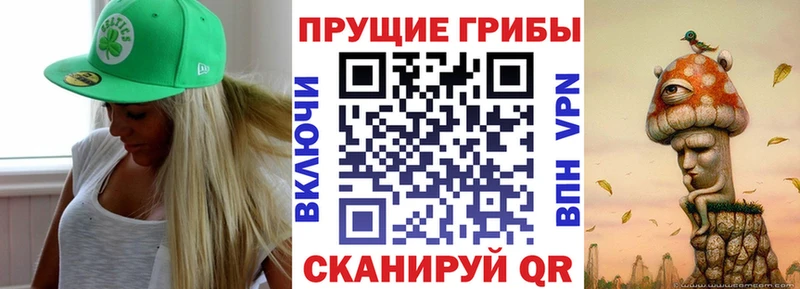 Галлюциногенные грибы Magic Shrooms  Железноводск 